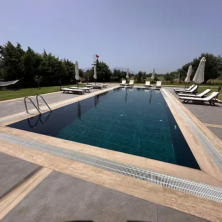Nima Datca *